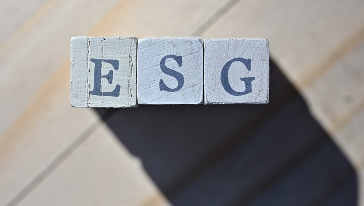 Three themes shaping the ESG landscape in 2021